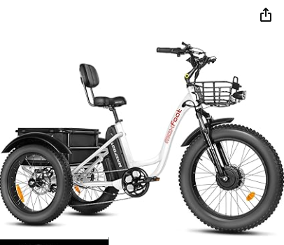 MAXFOOT MF30 Electric Tricycle Review - 750W 3 Wheel E-Bike with Suspension Fork